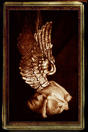 Image by RAEchel Running.