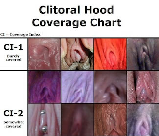 Normal that my clitoris hangs out