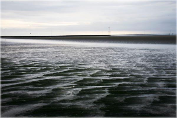 Planet Waves :: World News, Photos, Astrology, Horoscopes, Daily Blog