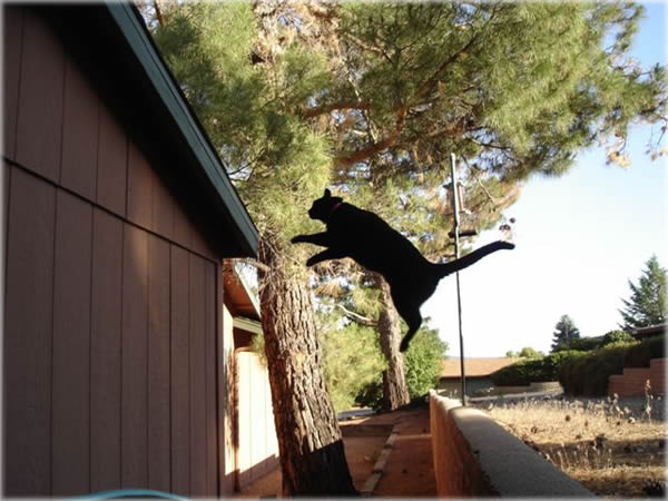 Planet Waves :: World News, Photos, Astrology, Horoscopes, Daily Blog