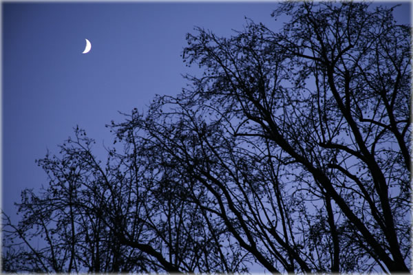 Monthly Horoscopes, Weekly Horoscopes, Astrology News, Daily Astrology Blog, Birthday Reports