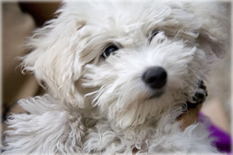 Monthly Horoscopes, Weekly Horoscopes, Astrology News, Daily Astrology Blog, Birthday Reports