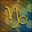 Capricorn (Dec. 22- Jan. 20)