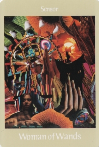 Woman of Wands -- Voyager Tarot deck. Woman of Wands -- Voyager Tarot deck.
