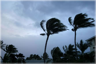Hurricane Gustav