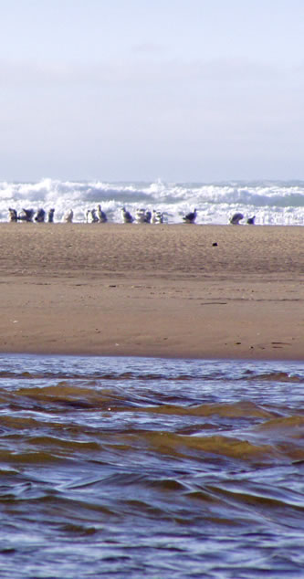 oregon Cannon Beach, Oregon. Photo by Rachel Asher.