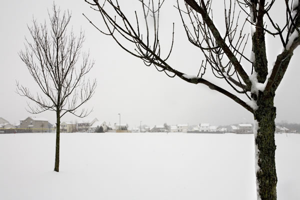 snow-backdoor-2 The Midwest dressed in white. Walking out the back door on the Great Plains of Illinois. Photo by Dani Voirin.