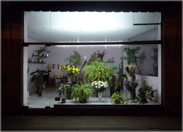 A flowershop window in the Barracas barrio of Buenos Aires. Photo by Dani Voirin.