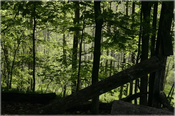 Grandmother Land in springtime, High Falls, New York. Photo by Eric Francis for Book of Blue.