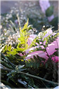 Flowers at Kaila's grave, March 25, 2009. Photo for Book of Blue by Eric Francis. Flowers at Kaila's grave, March 25, 2009. Photo for Book of Blue by Eric Francis.