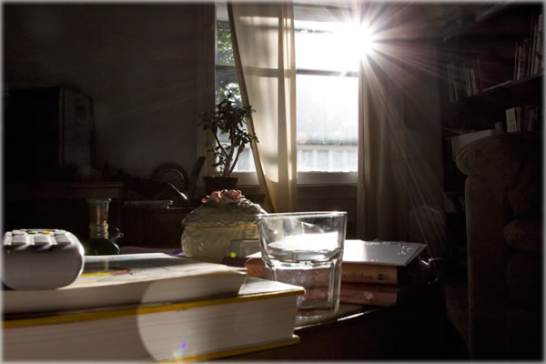 Early morning sunlight in my living room on Monday. Photo by Eric Francis. 