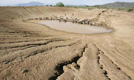 275_COP15-3C-Environmental-De-001 Nomadic Turkana pastoralists at a dried out dam in Kenya. A rise of 3C would mean up to 170 million more people suffering severe coastal floods and 550 million more at risk of hunger, according to the Stern review. Photograph: Stephen Morrison/EPA