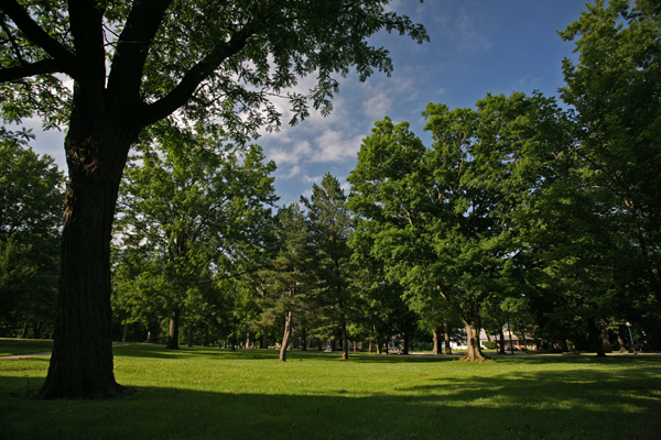 600+web_cornell_1228