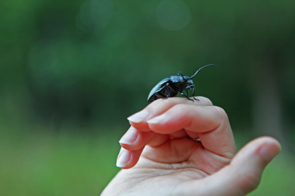 600+web_amanda_beetle_grandmother_3791