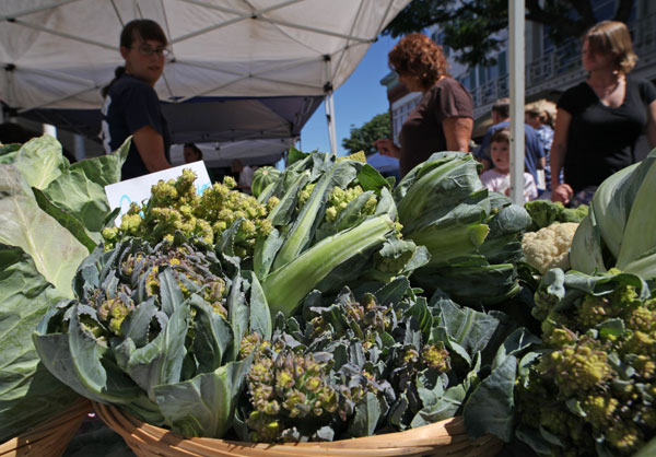 600+web_kingston_market_1698