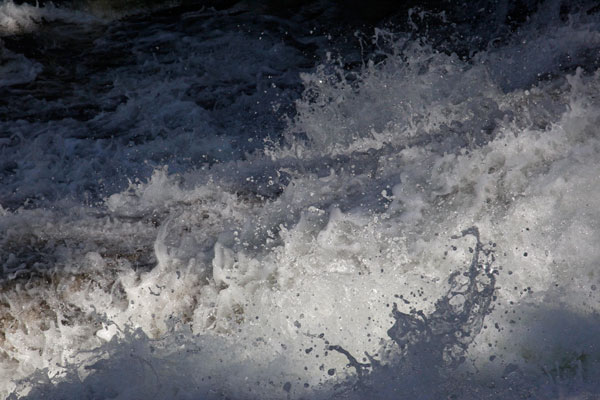 600a+web-grandmother-waterfall_0015