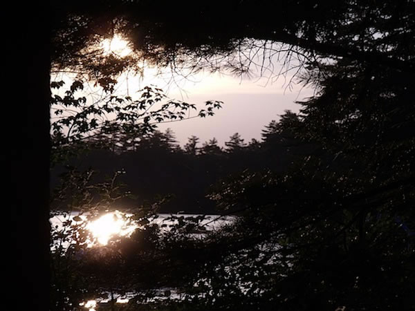 600+long_lake_silhouettes_crop_july2011DSCF3883
