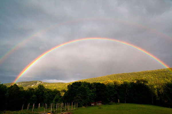 600+web-grandmother-rainbow-9743