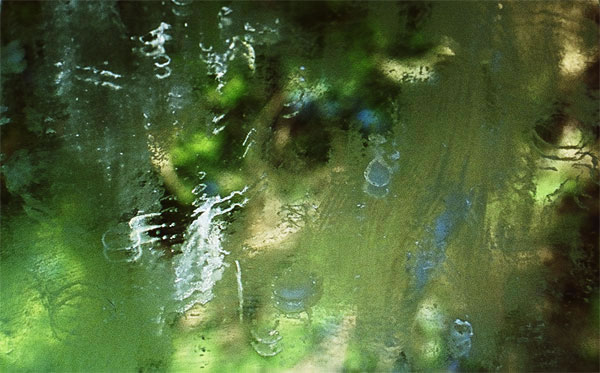 600+web-slide-1-daily-mirror