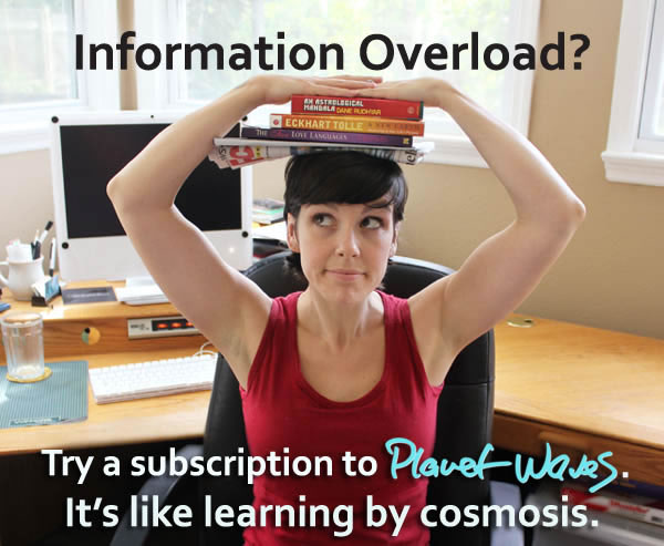 promo_Cosmosis