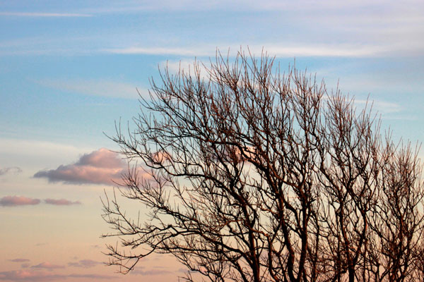 600+web-montak-sky_4982
