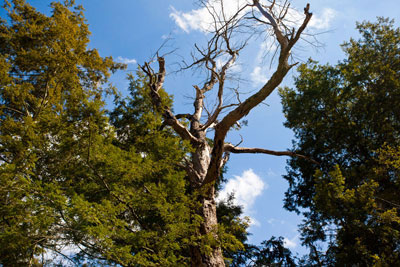 400+web-clove_mohonk_5418