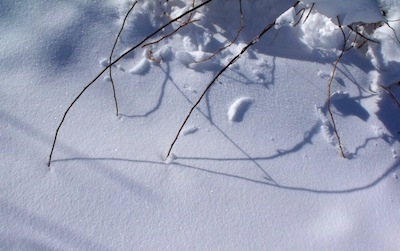 400+snow_lines_feb2013DSCF7383 Photo by Amanda Painter. Photo by Amanda Painter.