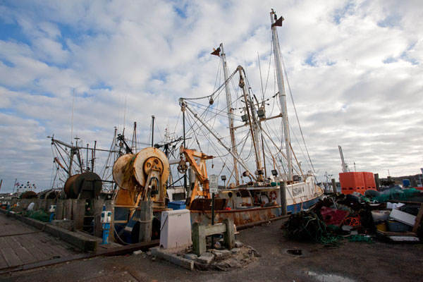 Commercial fishing boats at Montauk Harbor. Photo by Eric Francis