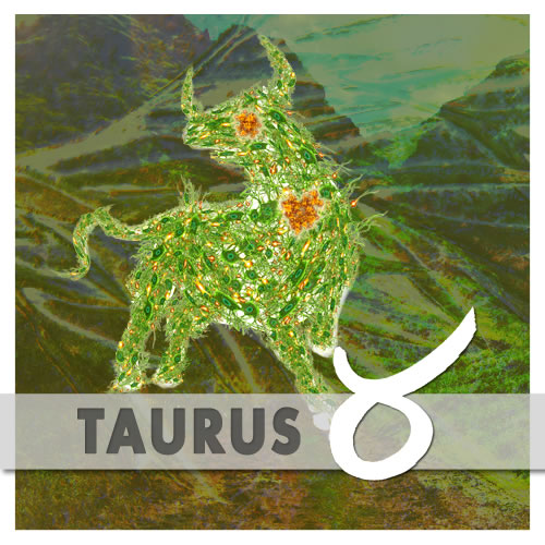 Taurus