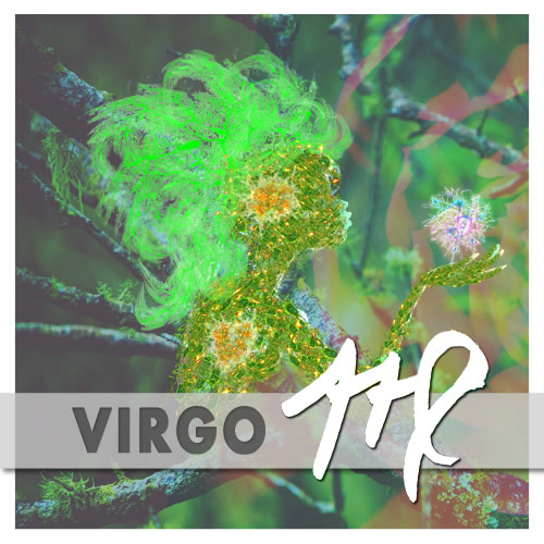 astrology zone virgo august 2019