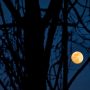 Why Does The Moon? Beyond the Veil…