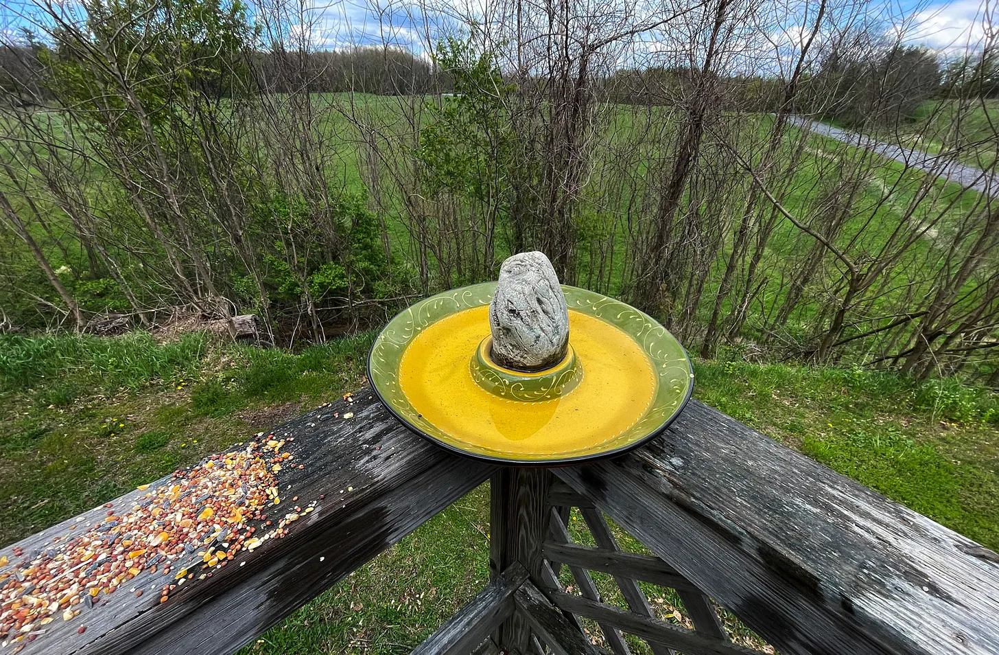 A chips & salsa dish repurposed as a birdbath.